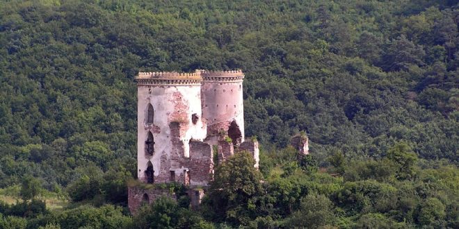 Фото: Petro Vlasenko / uk.wikipedia.org