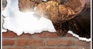 Fot. Wydawnictwo Napoleon V