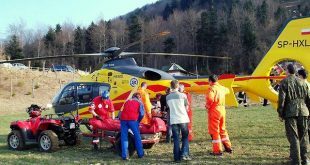 hems