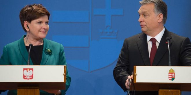 Фото: KPRM / Piotr Tracz