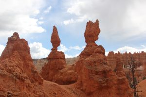 IMG_0465