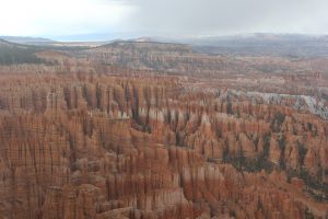 IMG_0507