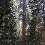 IMG_0744