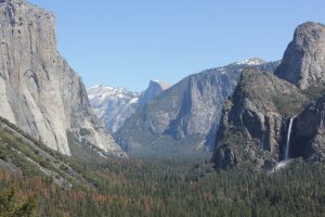 IMG_0775