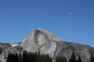 IMG_0796