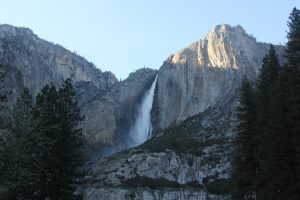 IMG_0804