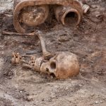 reshtky-rozstril 012