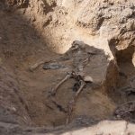 reshtky-rozstril 034