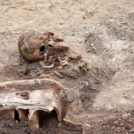 reshtky-rozstril 038