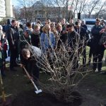 17218624_1280511012069922_8030871451334818853_o