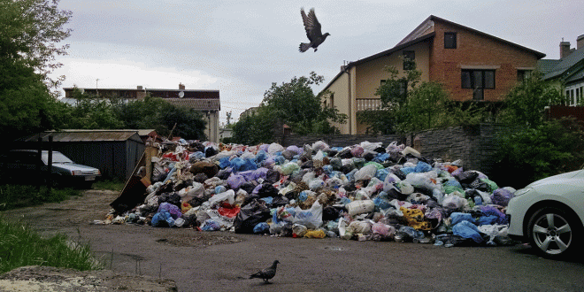 Фото: POLUKR.net / Андрій Поліковський