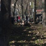 rekonstrukciya-zunr 038