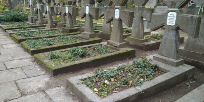 Джерело: nasze-slowo.pl