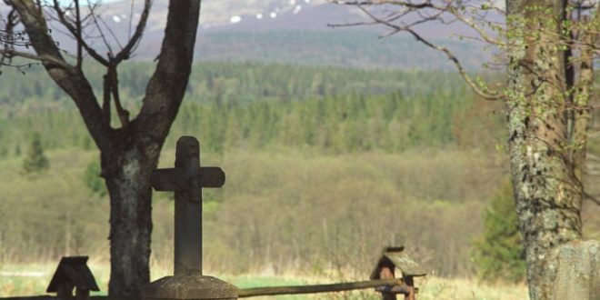 Фото: natemat.pl